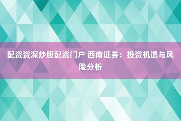 配资资深炒股配资门户 西南证券：投资机遇与风险分析