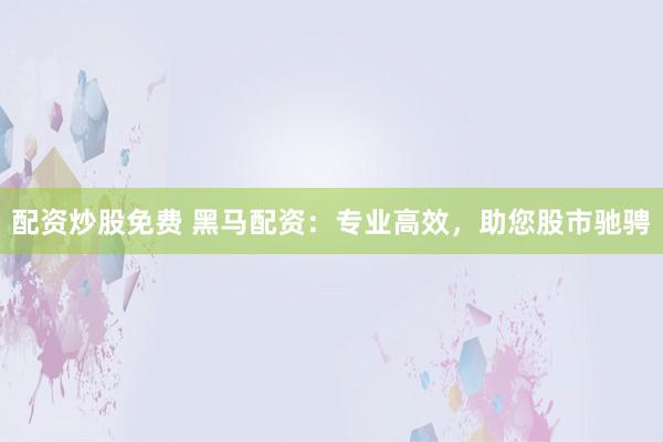 配资炒股免费 黑马配资：专业高效，助您股市驰骋