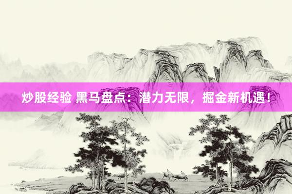炒股经验 黑马盘点：潜力无限，掘金新机遇！