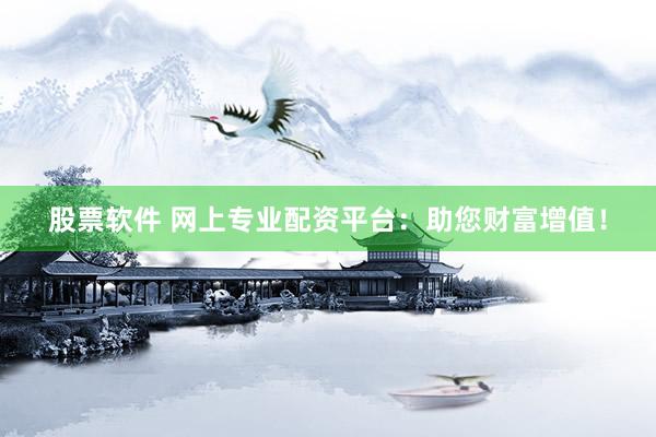 股票软件 网上专业配资平台：助您财富增值！