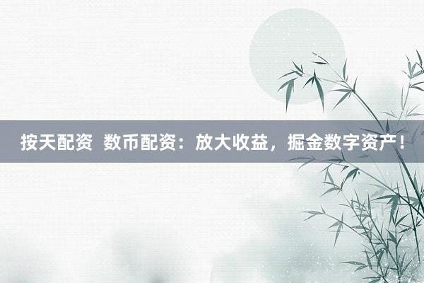 按天配资  数币配资：放大收益，掘金数字资产！