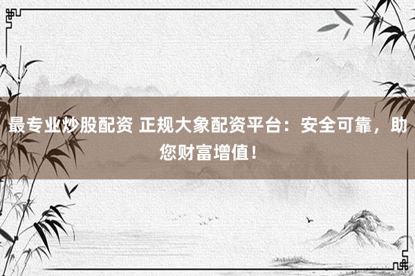 最专业炒股配资 正规大象配资平台：安全可靠，助您财富增值！