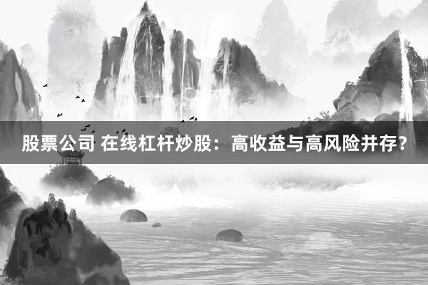 股票公司 在线杠杆炒股：高收益与高风险并存？