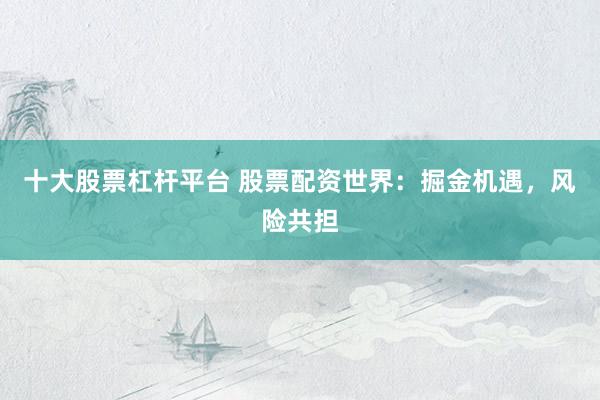 十大股票杠杆平台 股票配资世界：掘金机遇，风险共担