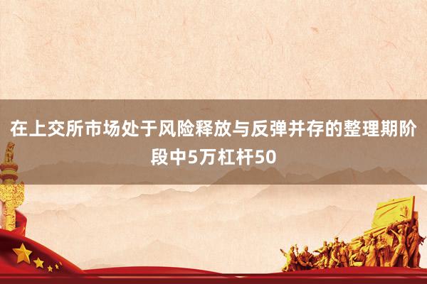 在上交所市场处于风险释放与反弹并存的整理期阶段中5万杠杆50