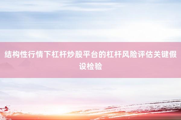 结构性行情下杠杆炒股平台的杠杆风险评估关键假设检验