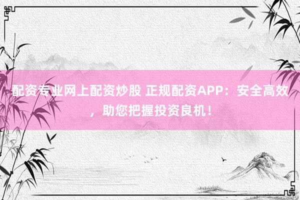配资专业网上配资炒股 正规配资APP：安全高效，助您把握投资良机！
