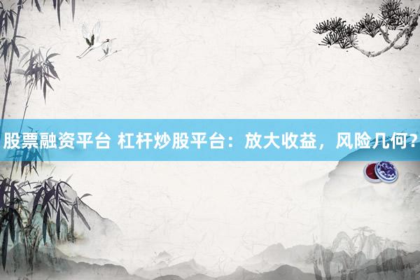 股票融资平台 杠杆炒股平台：放大收益，风险几何？
